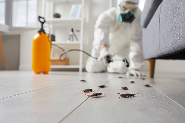 Post-Treatment Bed Bug Interceptor Monitoring in Wise