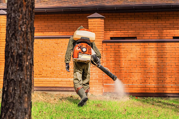 Bed Bug Clearance Verification and Documentation in Wise